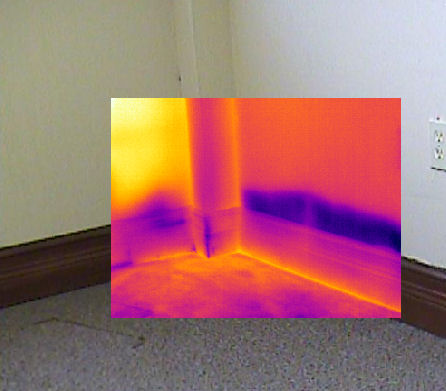 Interior Moisture Infrared