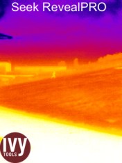 Seek Reveal Pro Runner